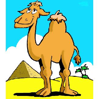  The Clever Camel: A Tale of Wits and Mischief from 10th Century Egypt?